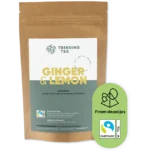 TrendingTea Ginger & Lemon piramidezakjes 100st