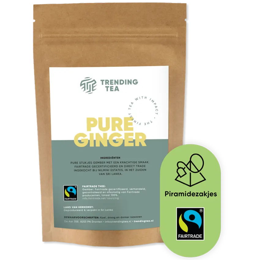 TrendingTea Pure Ginger piramidezakjes 100st